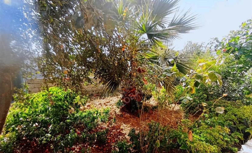 3d82e46e-34c7-401a-a46f-0473af161dc6