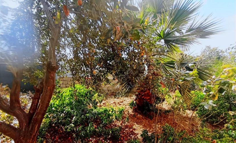 e0783b3a-7e8e-4279-abbd-74d3e60aedd7