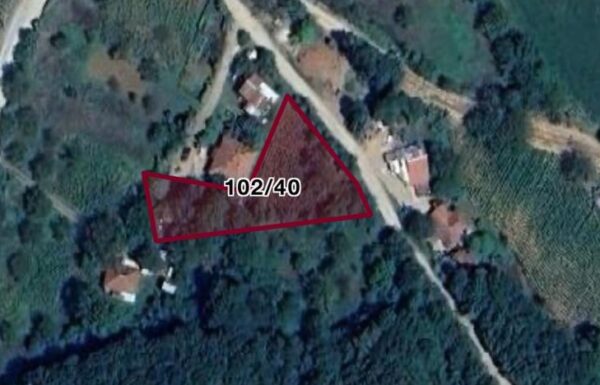 bb61ce83-25f5-4133-b257-c5de6f42bc50